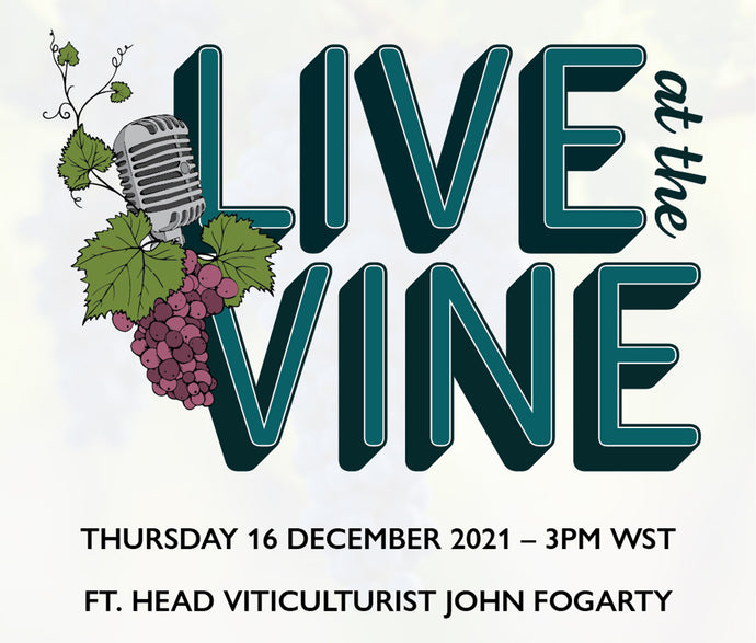 Live at the Vine with John Fogarty